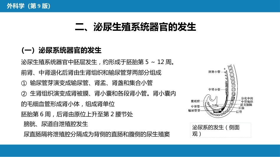 泌尿、男生殖系统先天性畸形_第6页