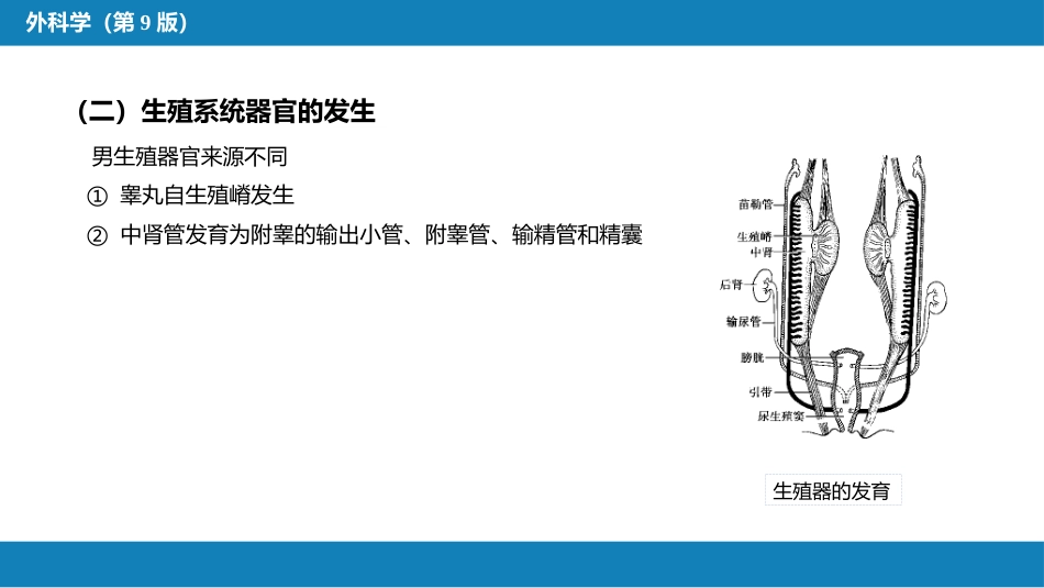 泌尿、男生殖系统先天性畸形_第7页