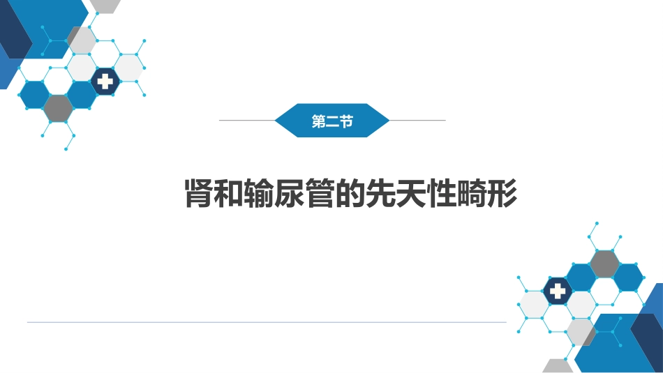 泌尿、男生殖系统先天性畸形_第8页
