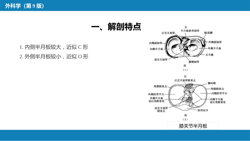 下肢骨、关节损伤 第六、七、八节_第14页