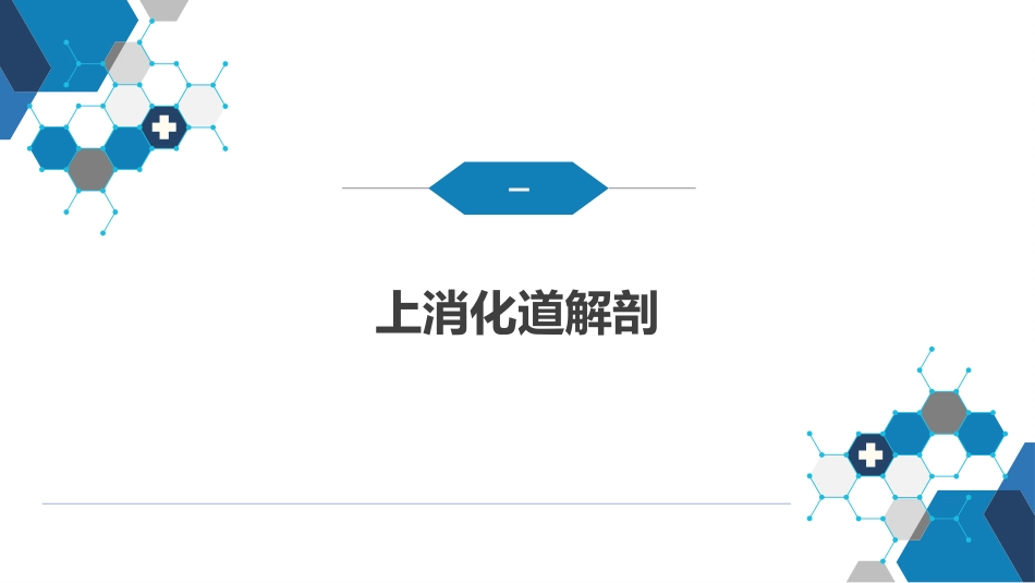 消化道大出血的诊断与外科处理原则_第4页