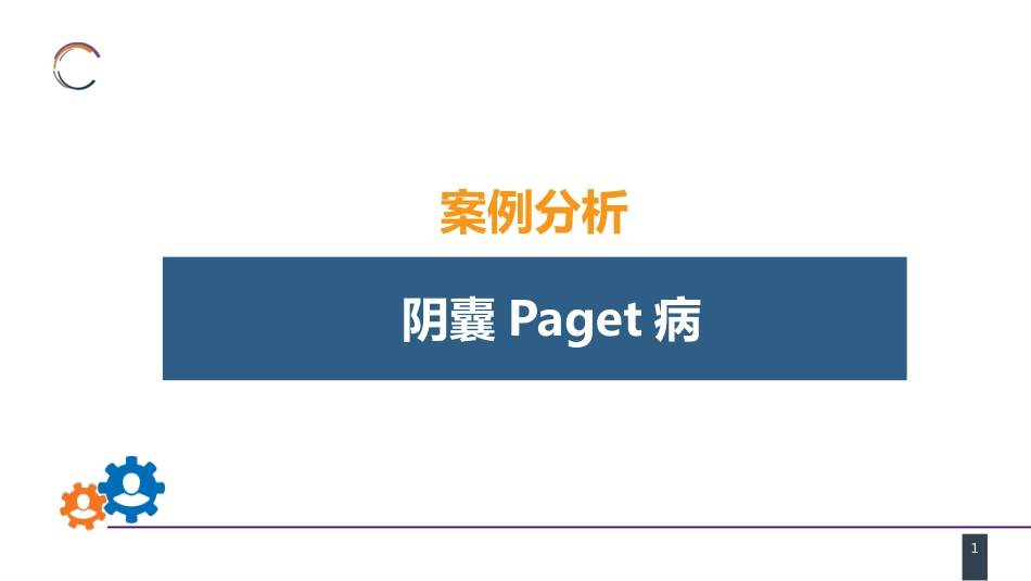 泌尿、男生殖系统肿瘤 案例分析-阴囊Paget病_第1页