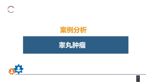 泌尿、男生殖系统肿瘤 案例分析-睾丸肿瘤