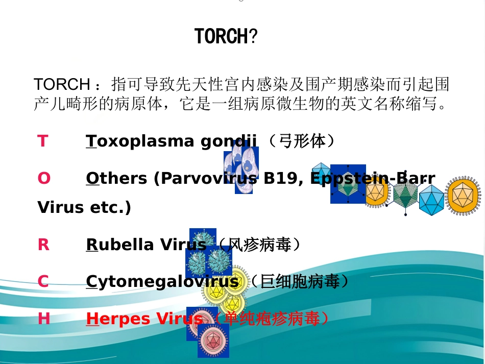 Torch感染筛查_第2页