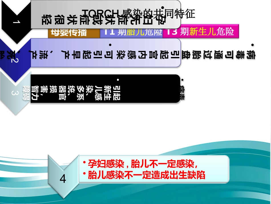 Torch感染筛查_第4页