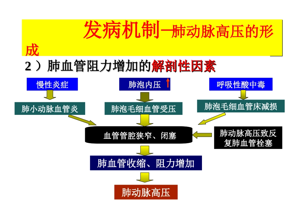 呼吸内科-肺源性心脏病_第13页