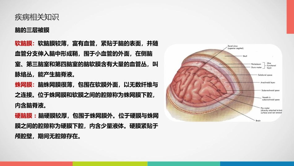 急性硬膜下血肿护理查房_第9页