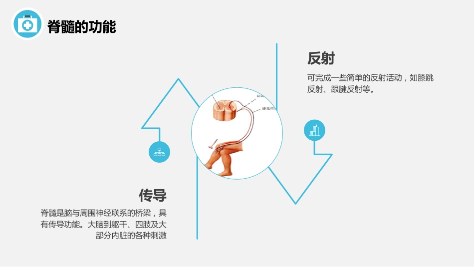 脊髓损伤护理查房_第10页