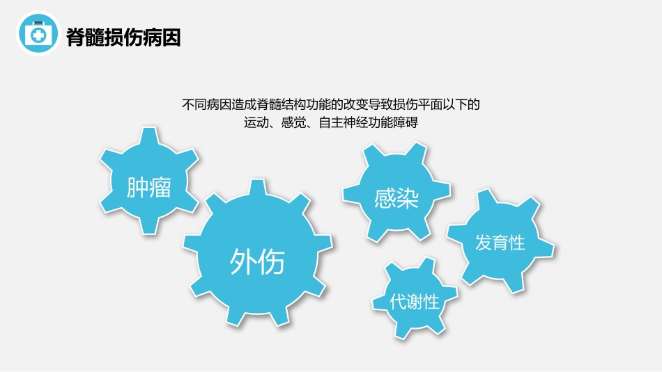 脊髓损伤护理查房_第11页