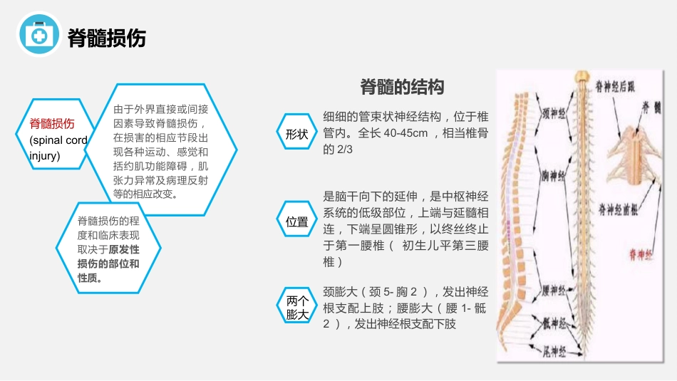脊髓损伤护理查房_第9页