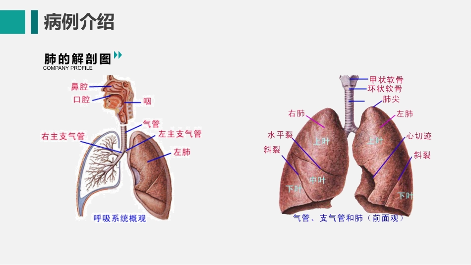 护膝衰竭护理查房_第8页