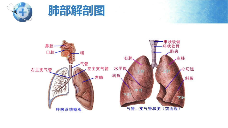 呼吸衰竭护理查房_第9页