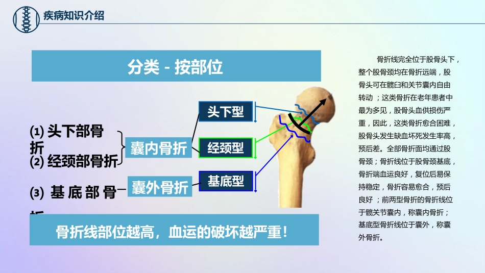 股骨颈骨折护理查房_第12页