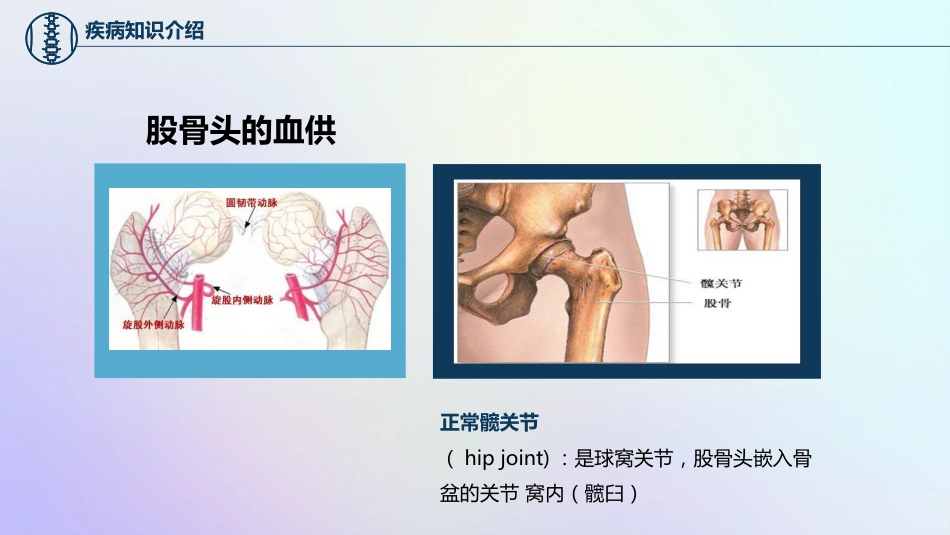 股骨颈骨折护理查房_第9页