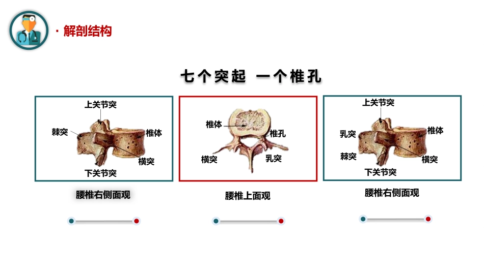 腰椎骨折护理查房_第5页