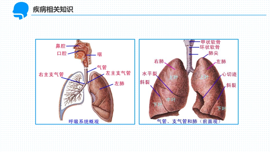 呼吸衰竭护理_第9页