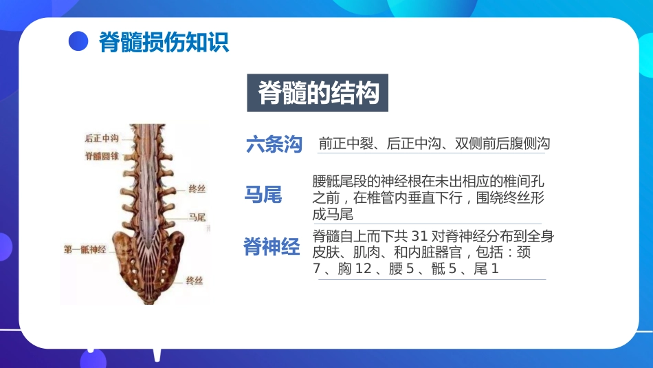 脊髓损伤的护理查房_第10页