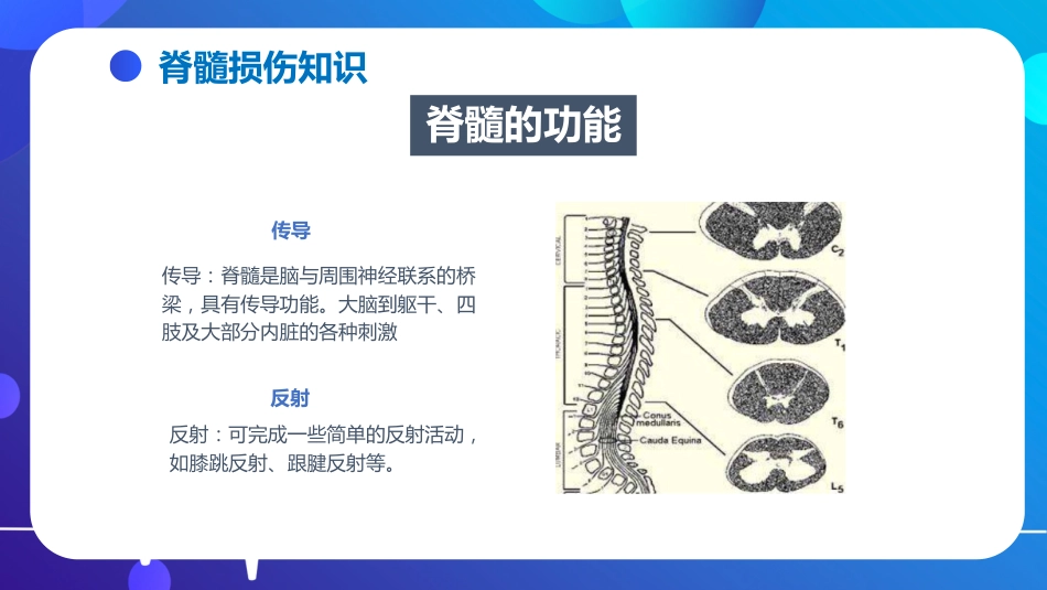 脊髓损伤的护理查房_第11页