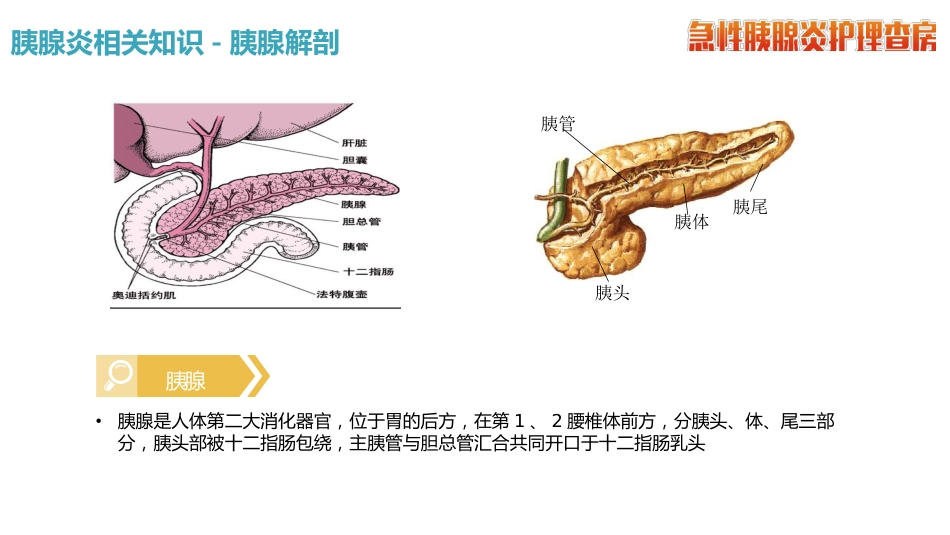急性胰腺炎护理查房_第6页