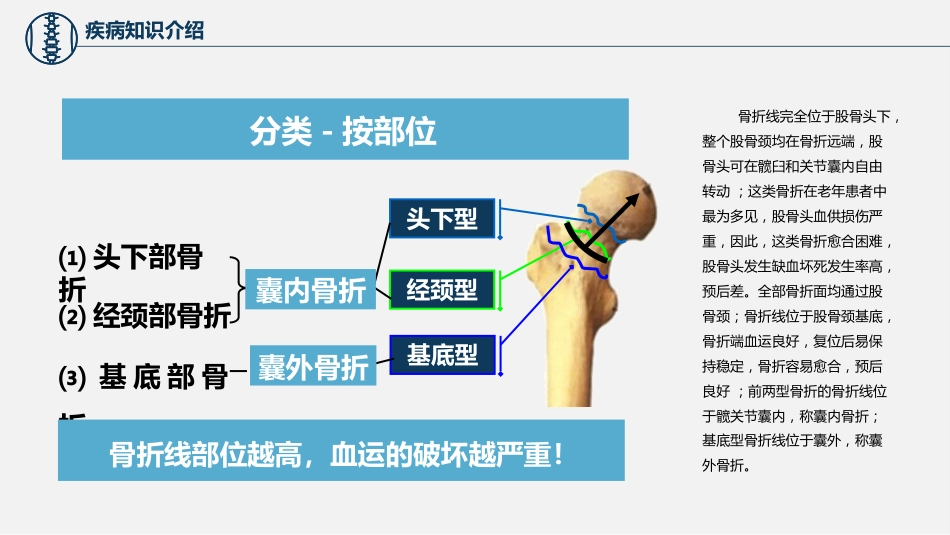股骨颈骨折护理查房 (2)_第12页