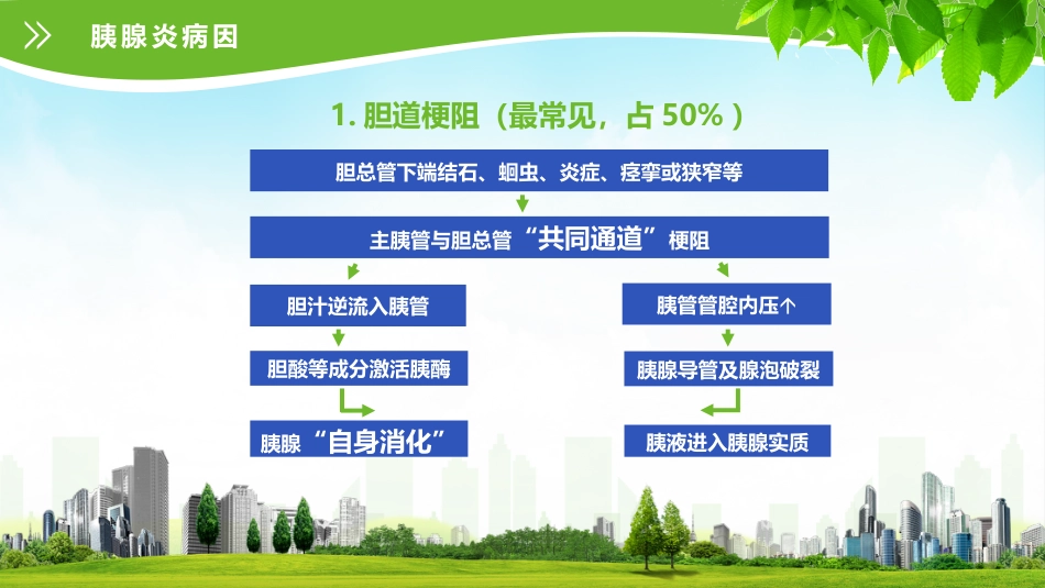 急性胰腺炎护理查房 (2)_第10页