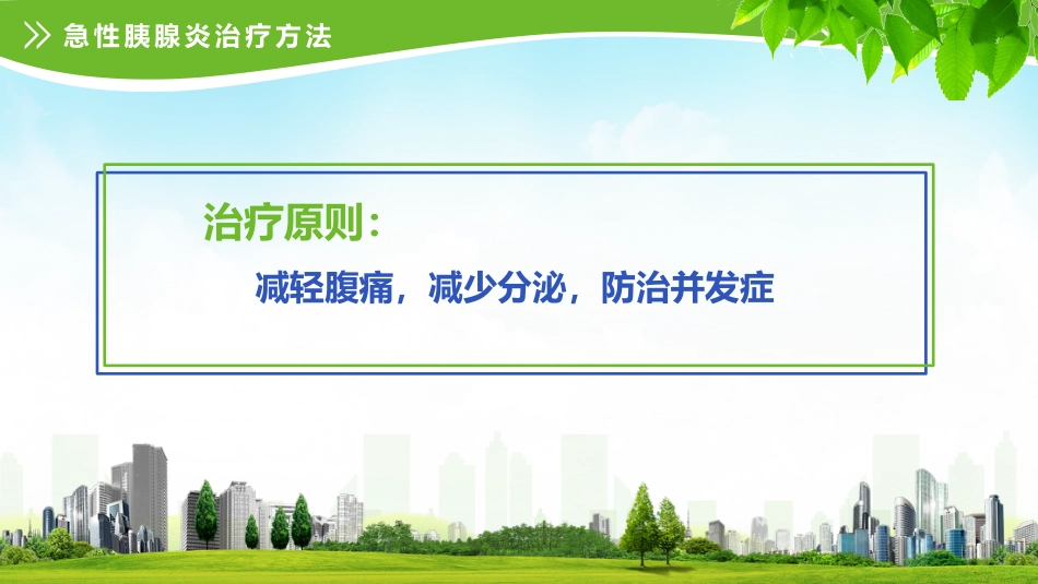 急性胰腺炎护理查房 (2)_第12页