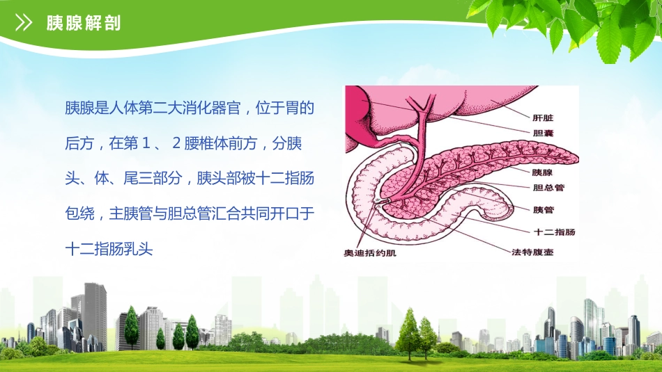 急性胰腺炎护理查房 (2)_第7页