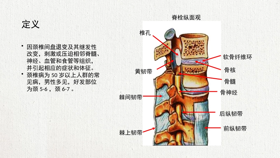颈椎病护理查房 (2)_第5页