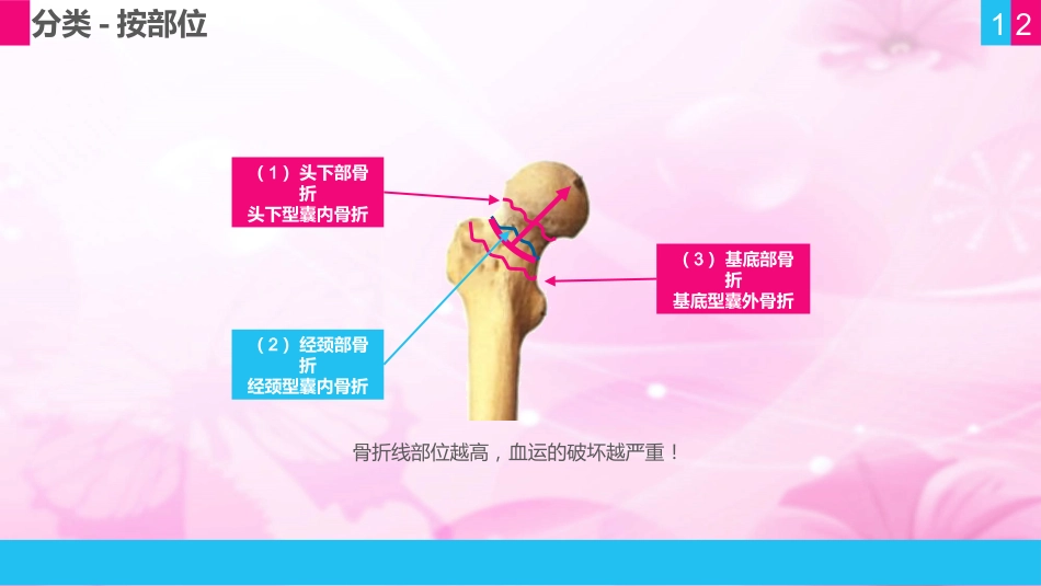 护理查房 (11)_第12页