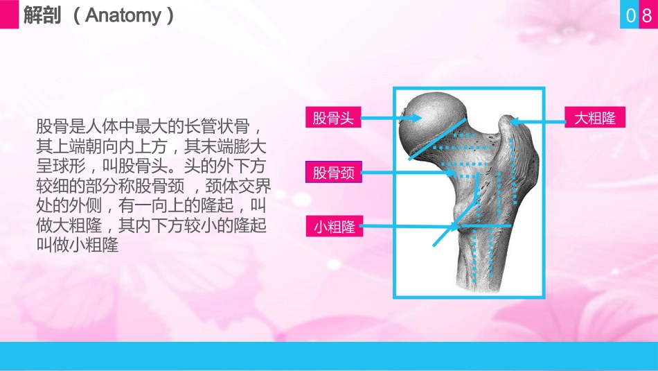 护理查房 (11)_第8页
