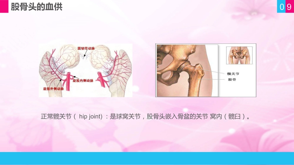 护理查房 (11)_第9页