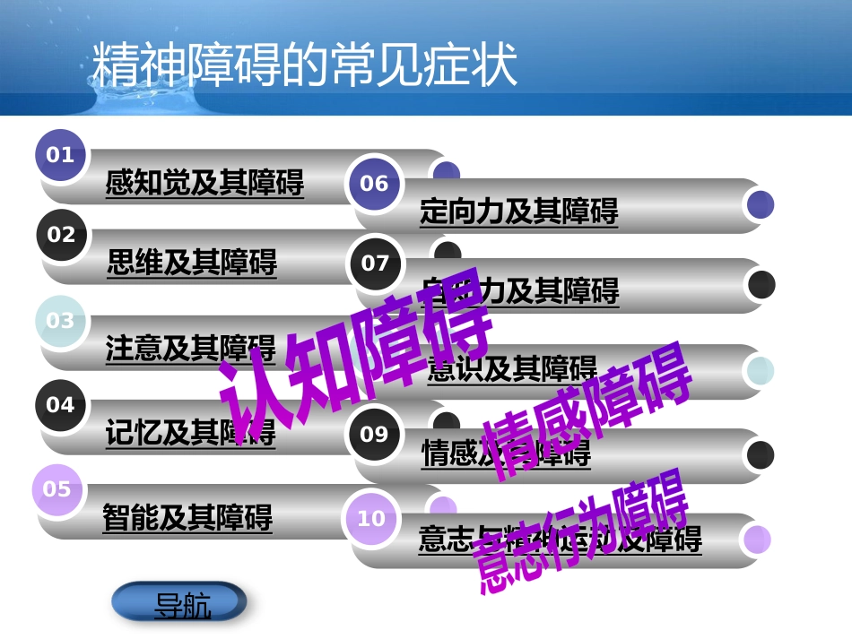 精神障碍症状学_第15页