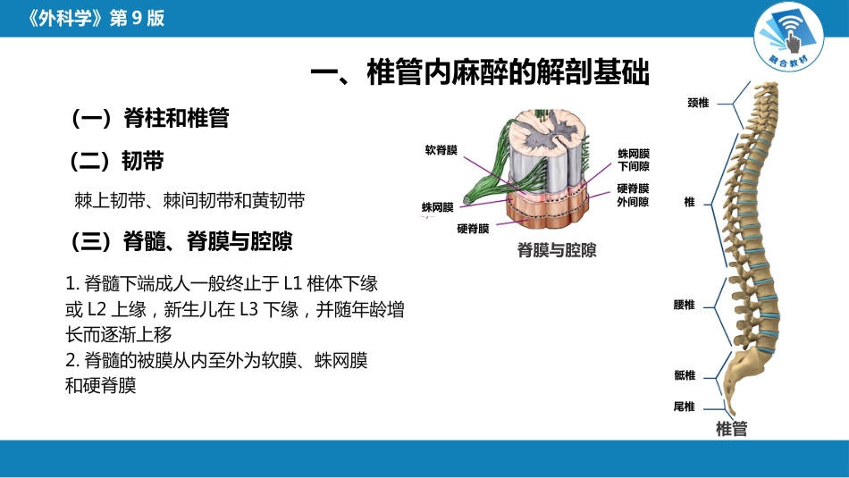 管椎内麻醉_第6页
