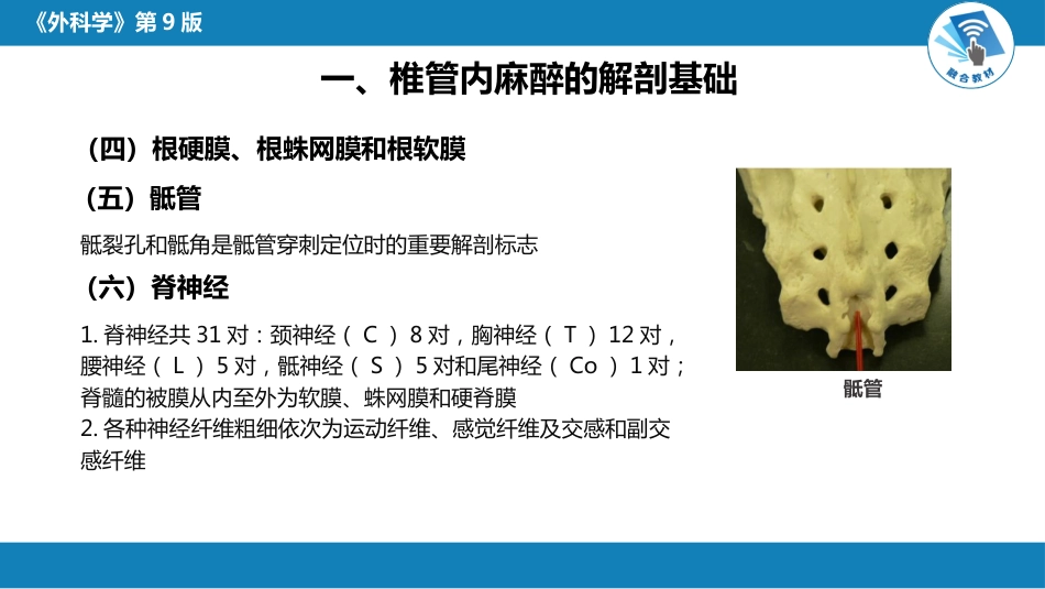 管椎内麻醉_第7页