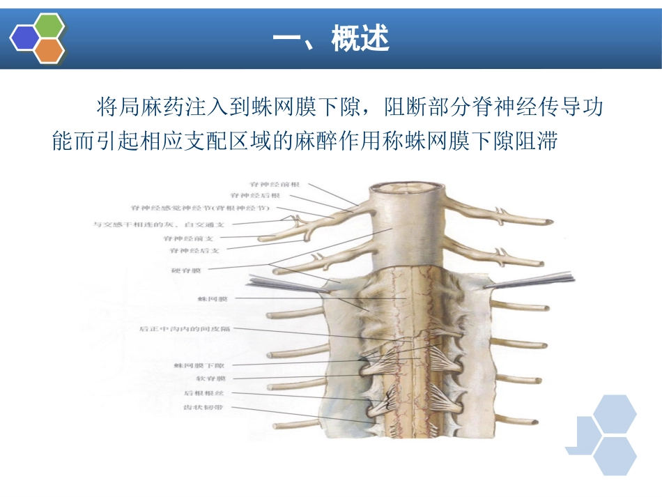 第10章 椎管内麻醉_第5页