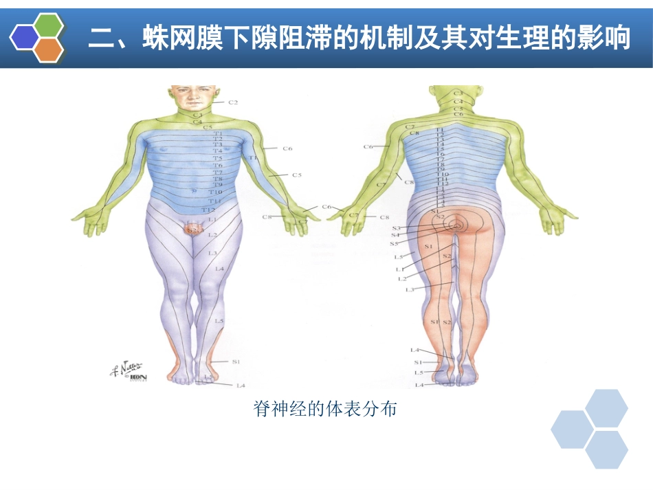 第10章 椎管内麻醉_第9页