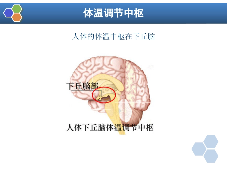 第12章 麻醉期间的体温管理_第2页