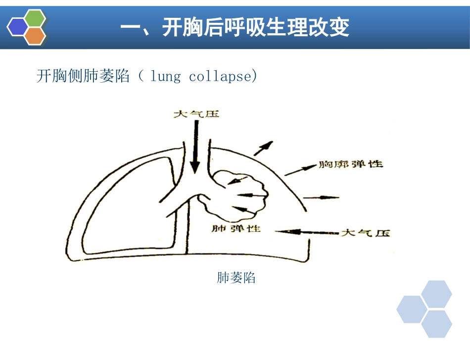 第17章 胸科手术麻醉_第6页