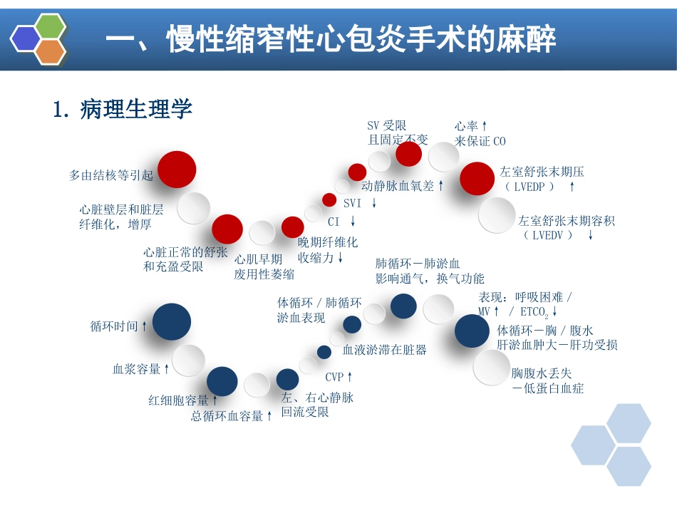 第18章 心血管手术的麻醉_第12页