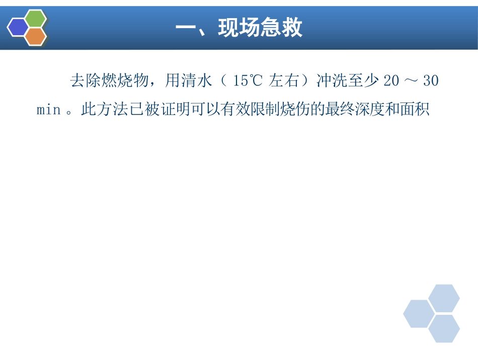 第24章 烧伤病人的麻醉_第5页