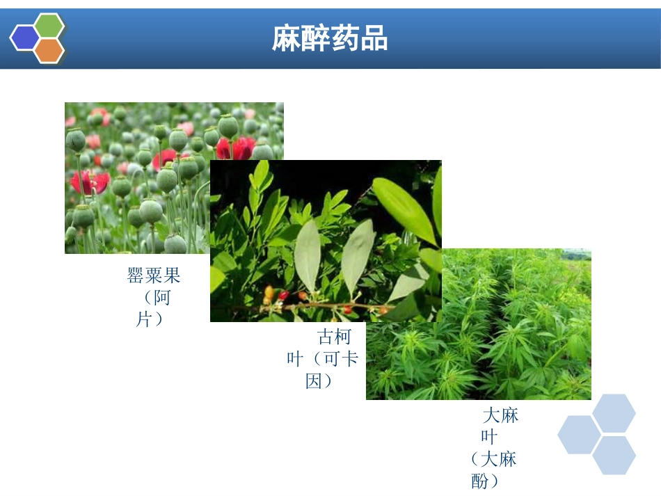 第38章 药物依赖与戒断_第14页