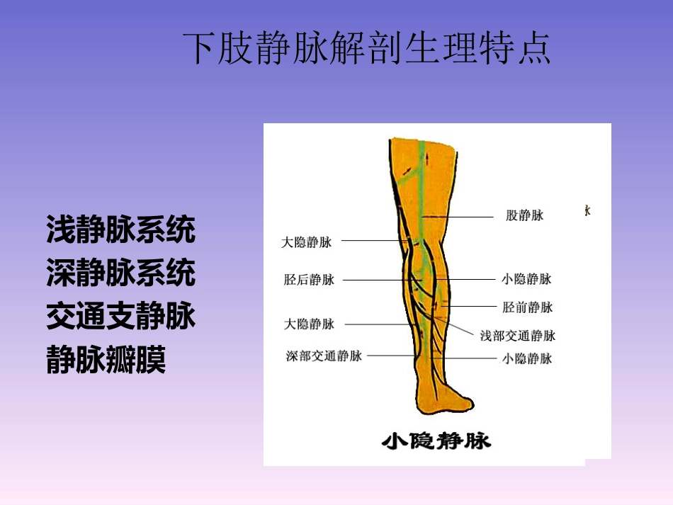 周围血管和疝_第8页