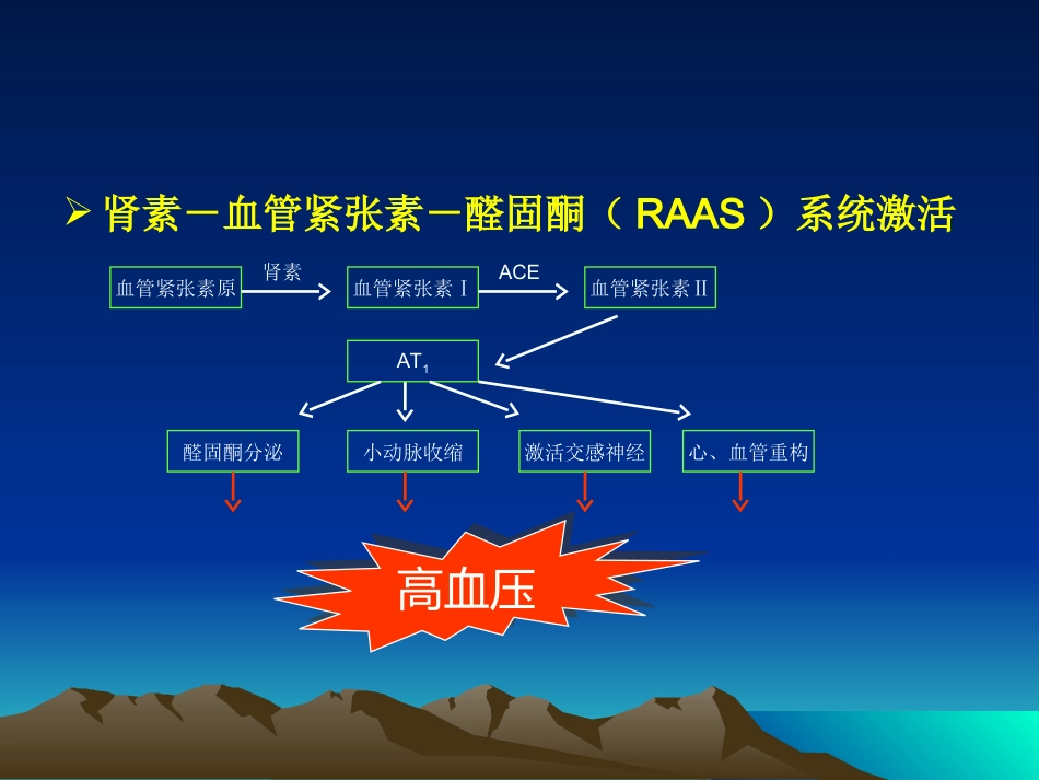 心血管内科-高血压课件_第12页
