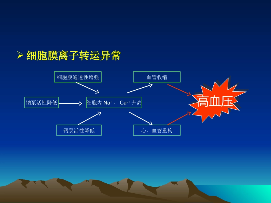 心血管内科-高血压课件_第13页