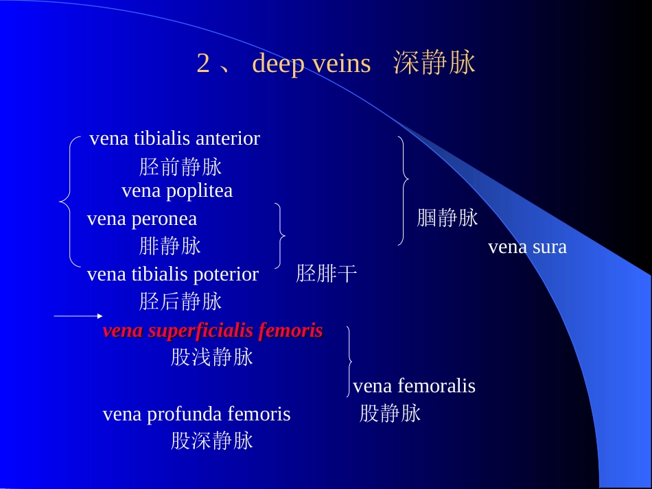 周围血管与淋巴管疾病test_第4页