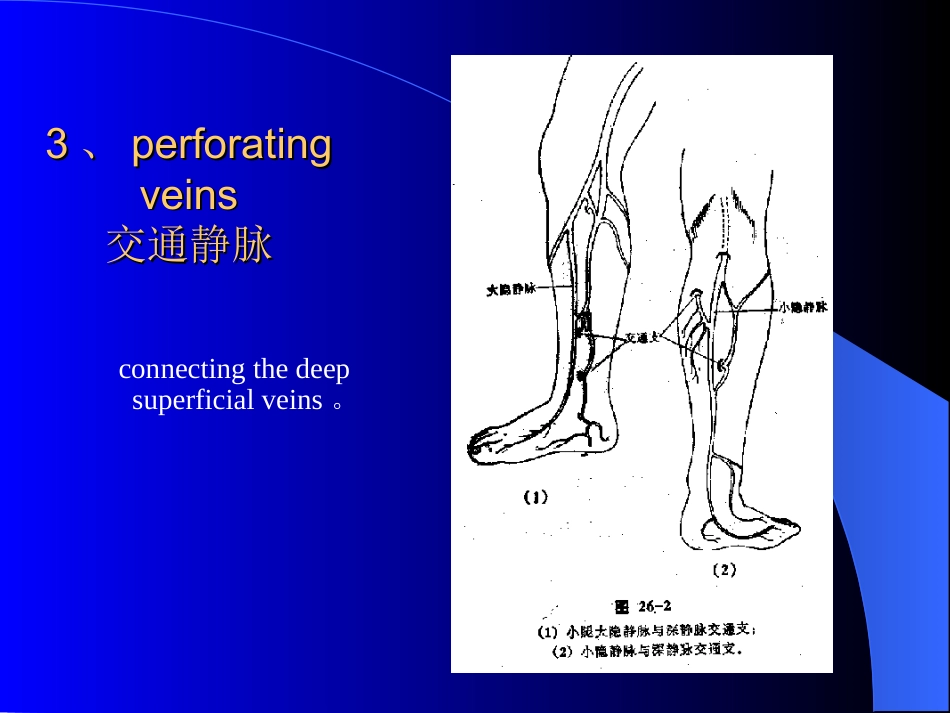 周围血管与淋巴管疾病test_第5页