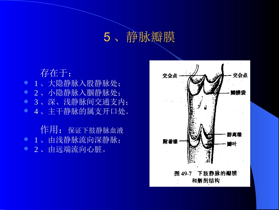 周围血管与淋巴管疾病test_第7页