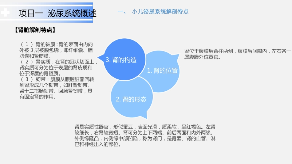 泌尿系统疾病患儿的护理_第4页