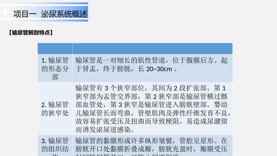泌尿系统疾病患儿的护理_第5页