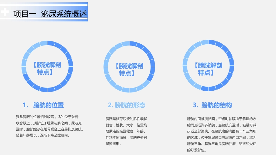 泌尿系统疾病患儿的护理_第6页